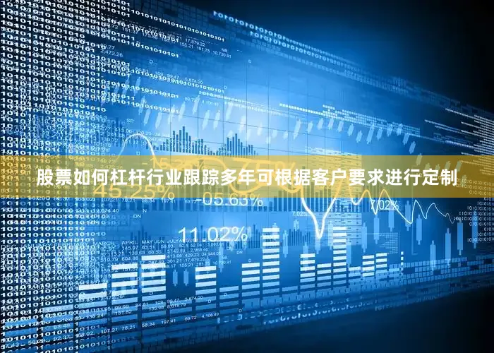 股票如何杠杆行业跟踪多年可根据客户要求进行定制